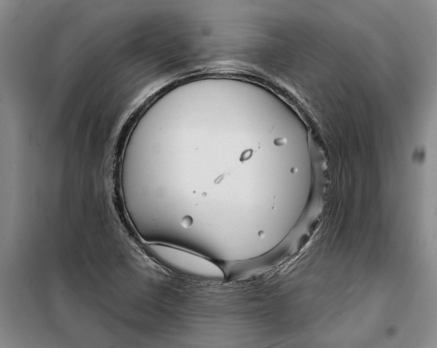 X0000099421410200805301357