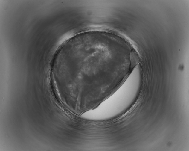 X0000099421411200805301357
