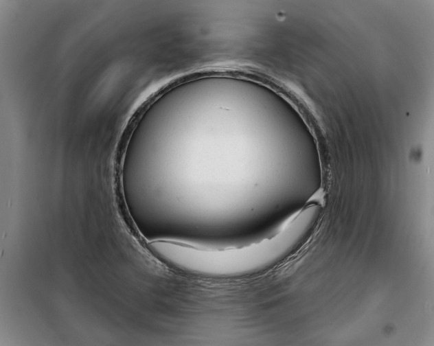 X0000099421412200805301357