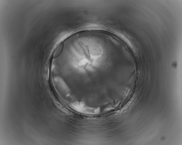X0000099421413200805301357