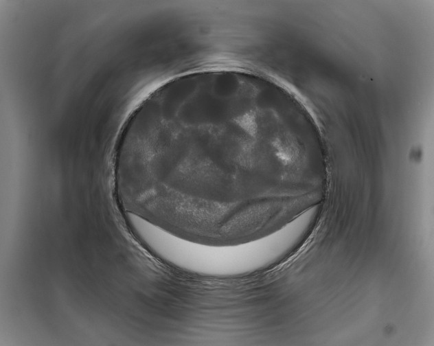 X0000099421415200805301357