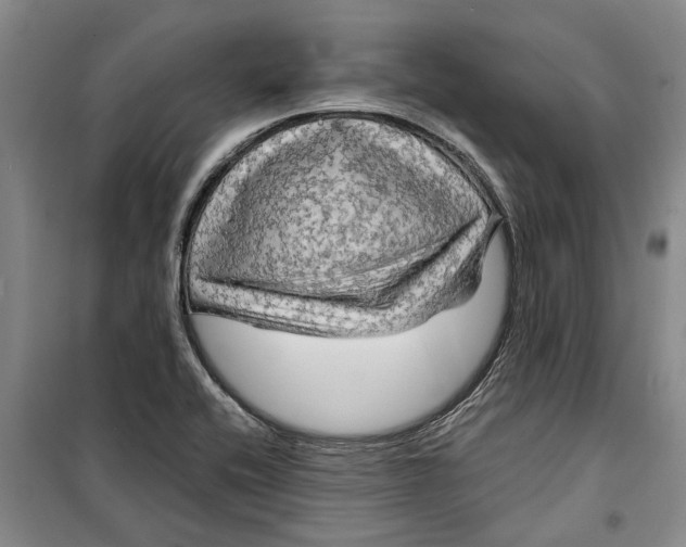 X0000099421416200805301357