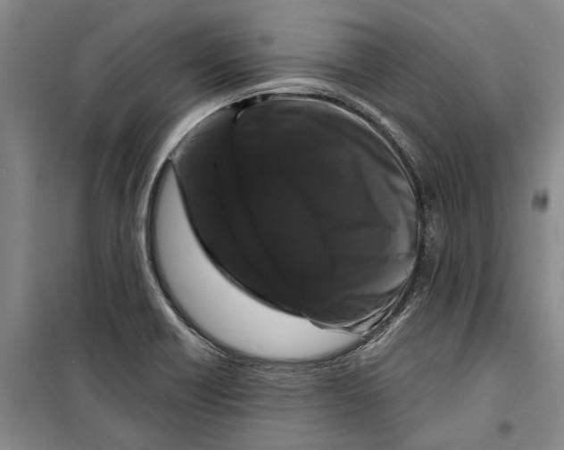 X0000099421418200805301357