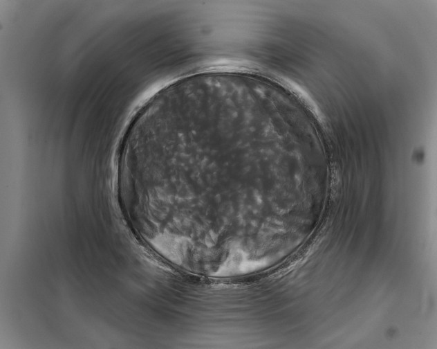 X0000099421419200805301357
