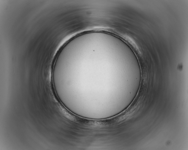 X0000099421420200805301357