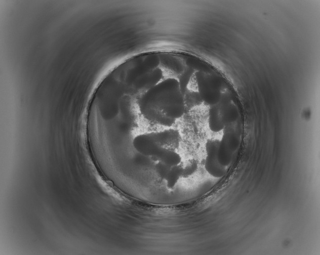 X0000099421421200805301357