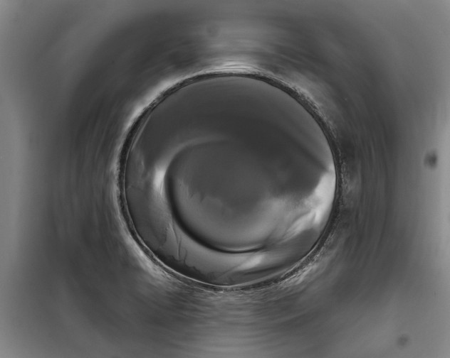 X0000099421422200805301357
