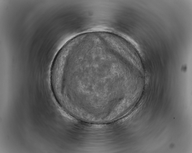 X0000099421423200805301357