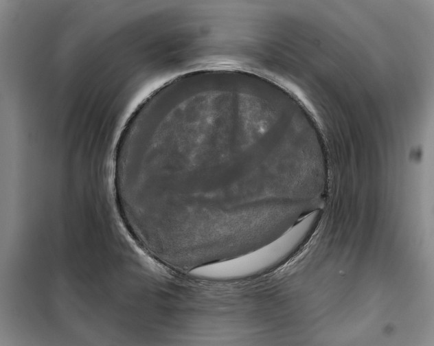 X0000099421424200805301357