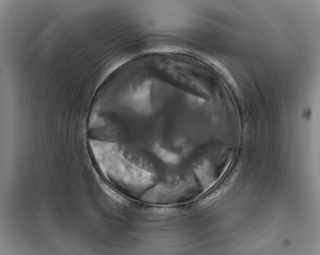 X0000099421425200805301357