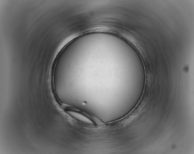 X0000099421426200805301357