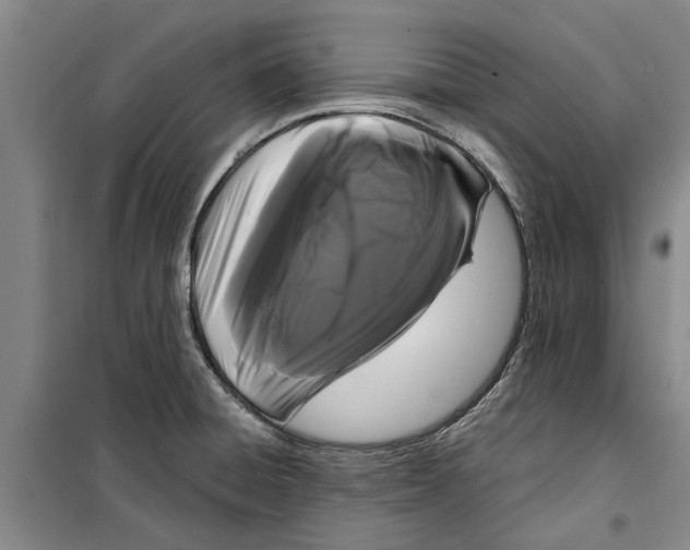 X0000099421428200805301357