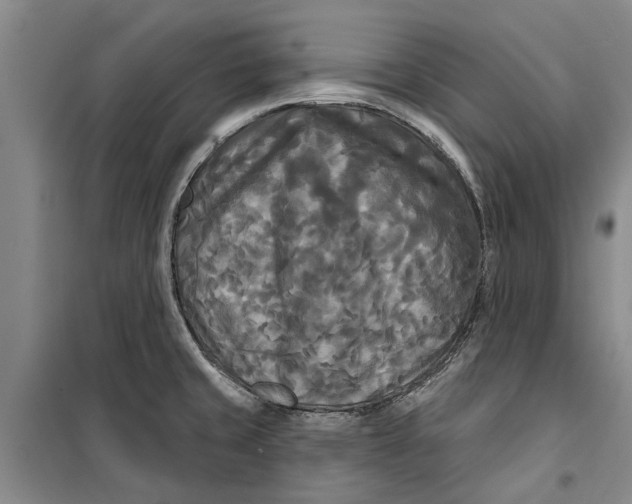 X0000099421429200805301357