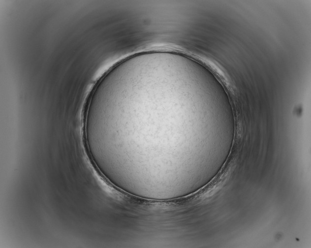 X0000099421430200805301357