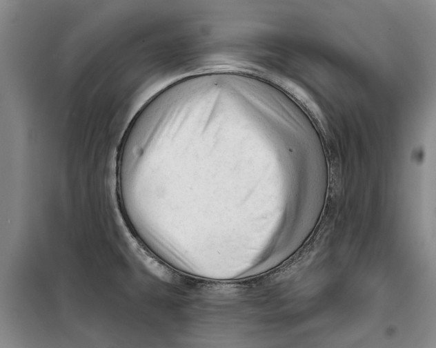 X0000099421431200805301357