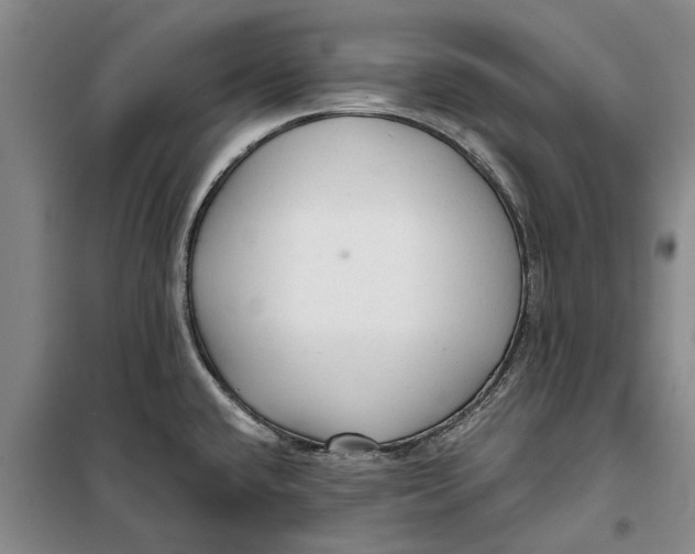 X0000099421432200805301358