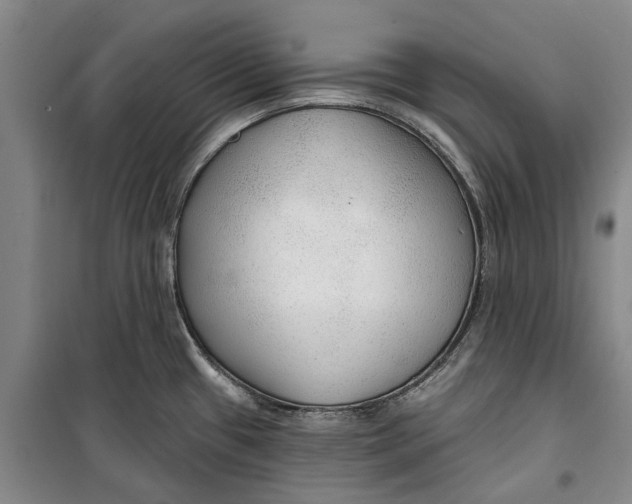 X0000099421433200805301358