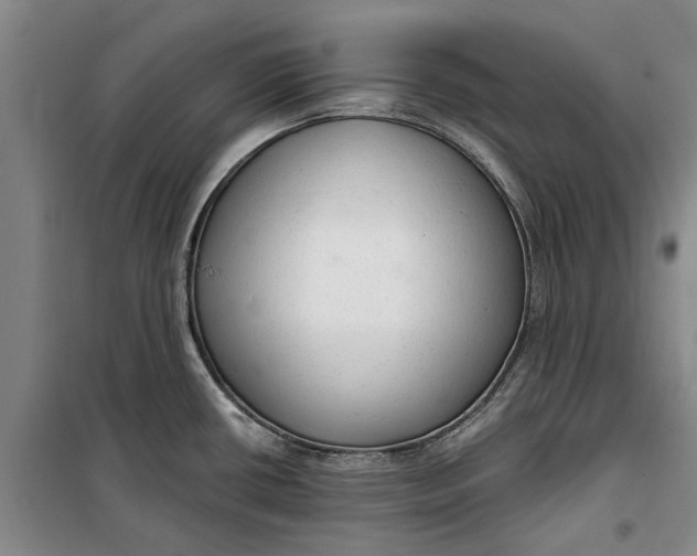 X0000099421434200805301358