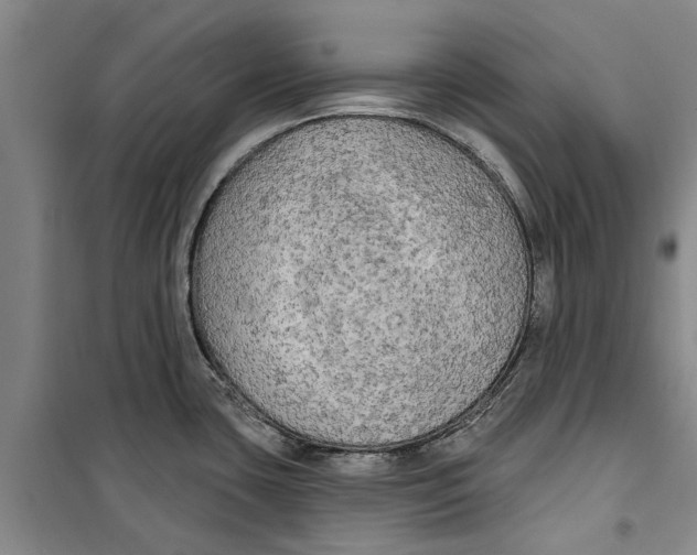 X0000099421435200805301358