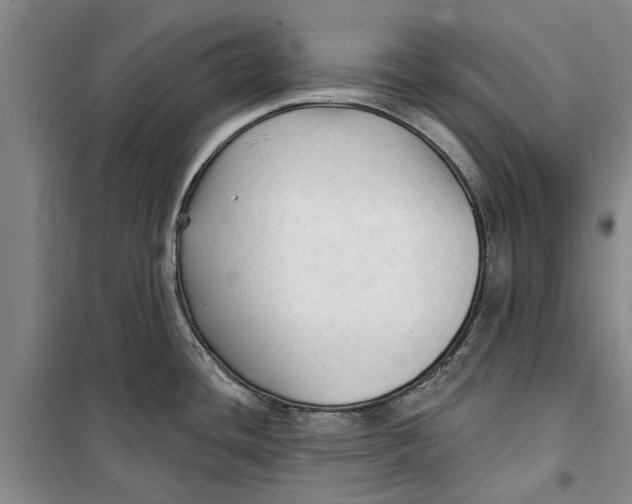 X0000099421436200805301358