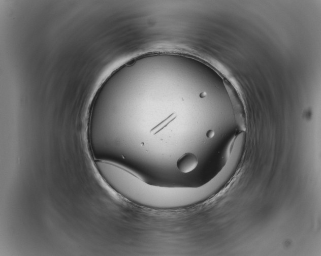 X0000099421437200805301358