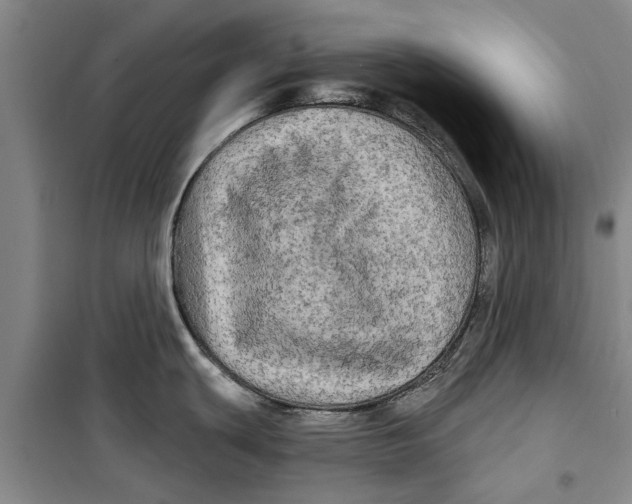 X0000099421439200805301358