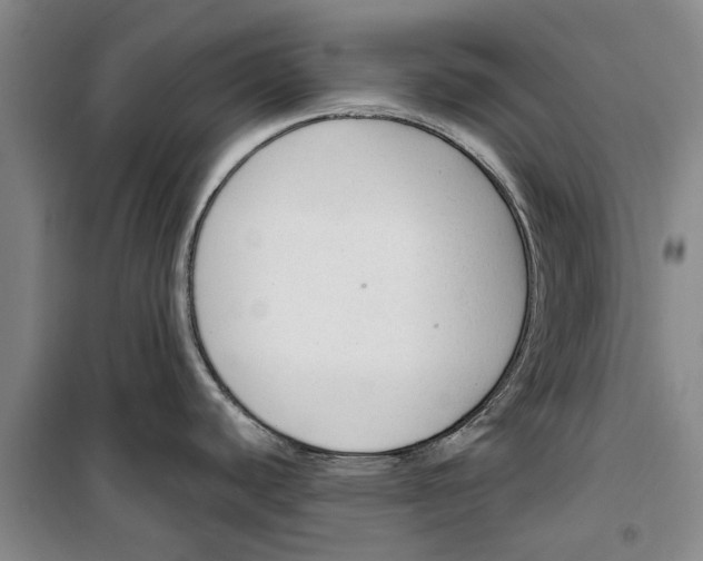 X0000099421440200805301358