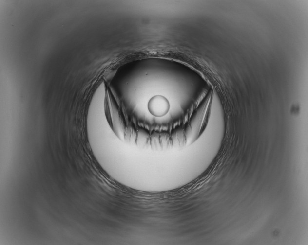 X0000099421444200805301357