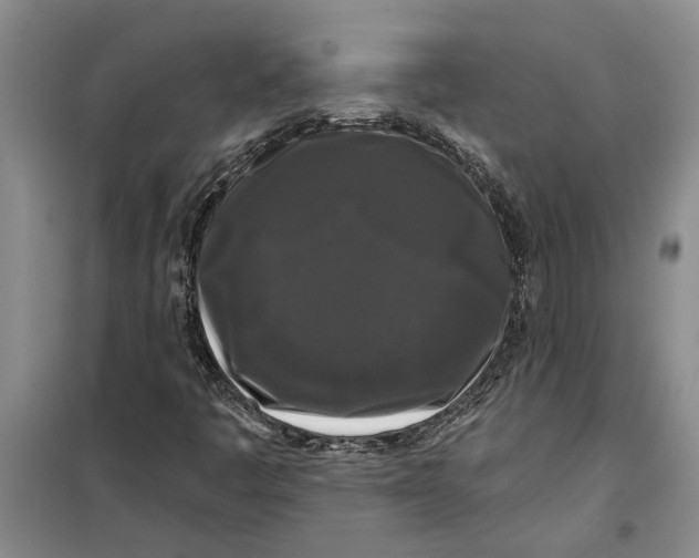 X0000099421445200805301357