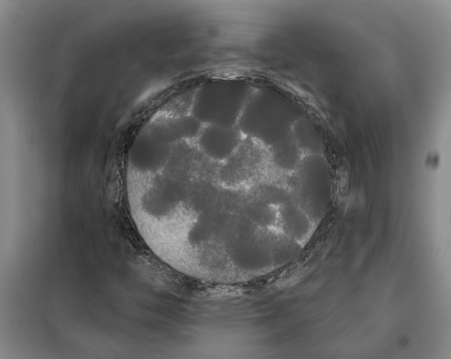 X0000099421446200805301357