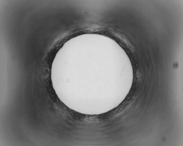 X0000099421447200805301357