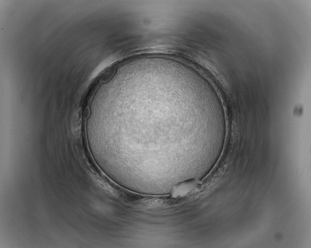 X0000099421450200805301357