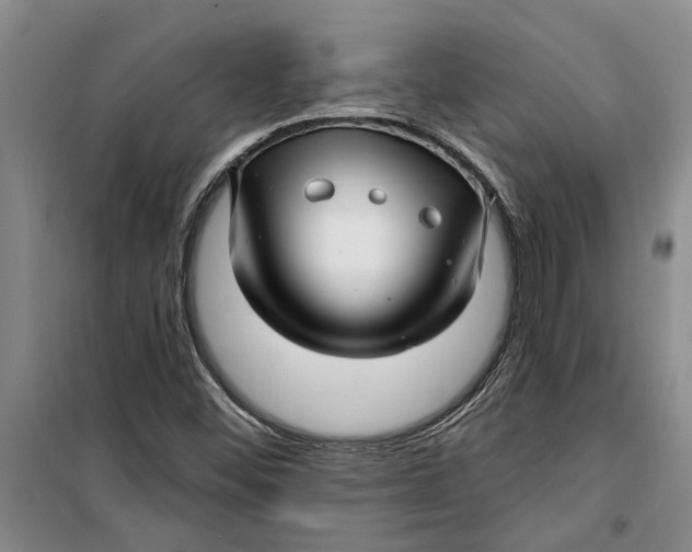 X0000099421452200805301357