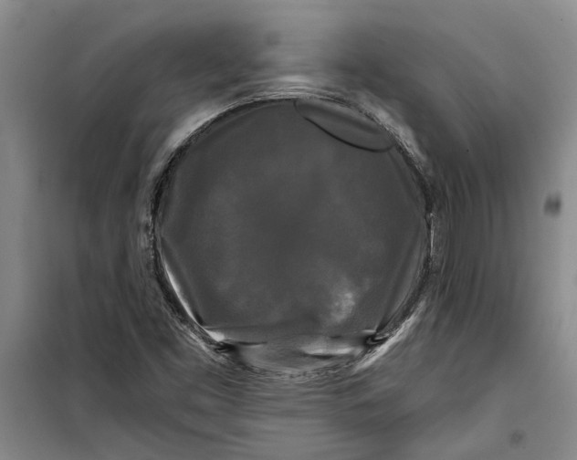 X0000099421453200805301357