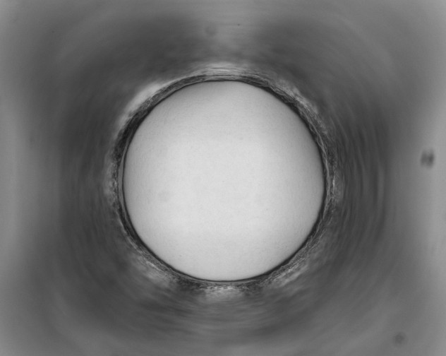 X0000099421454200805301357