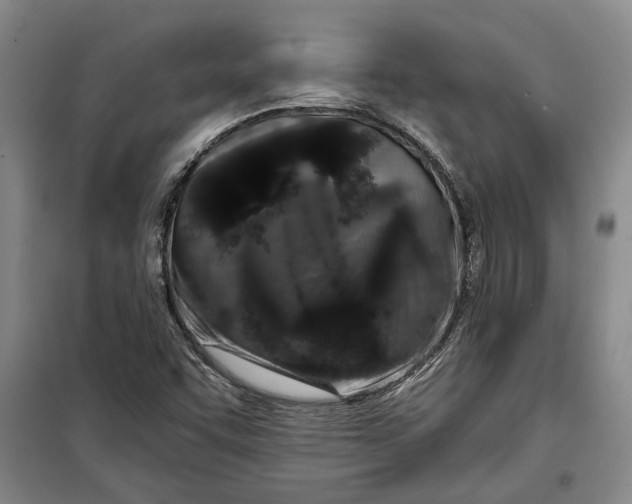 X0000099421455200805301357