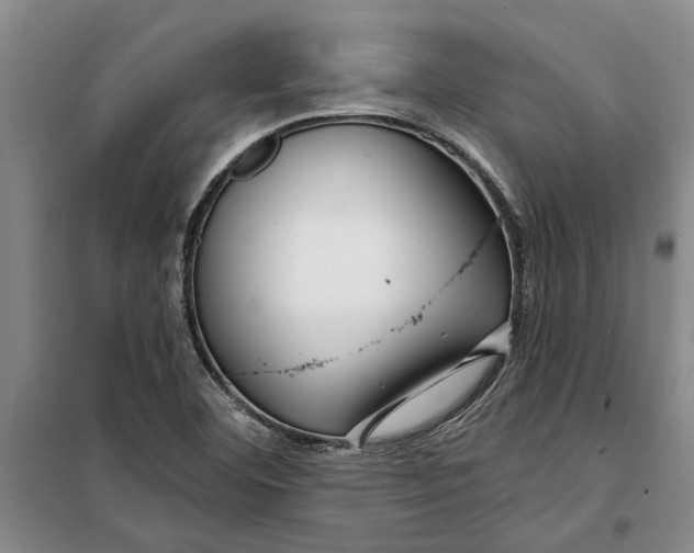 X0000099421460200805301357