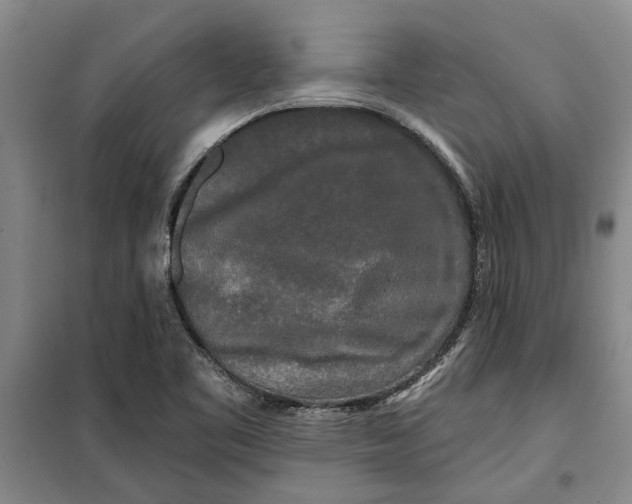 X0000099421461200805301357