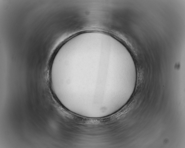 X0000099421462200805301357