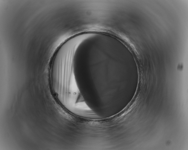 X0000099421463200805301357