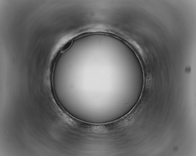 X0000099421464200805301357