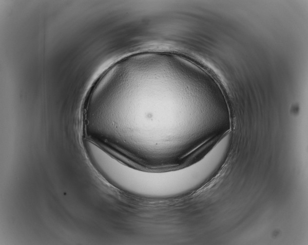 X0000099421467200805301357