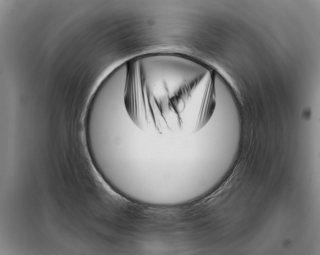 X0000099421468200805301357