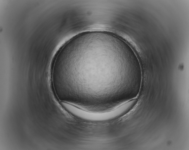 X0000099421469200805301357
