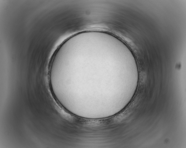 X0000099421470200805301357