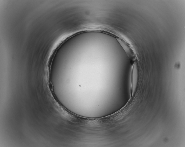 X0000099421472200805301357