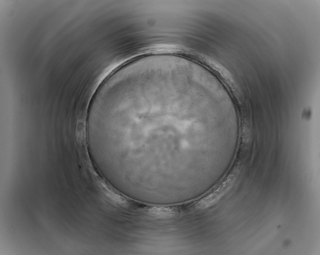X0000099421473200805301357