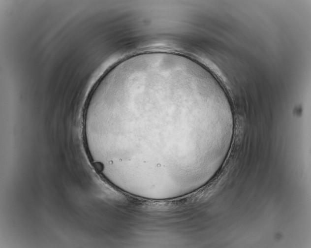 X0000099421474200805301357