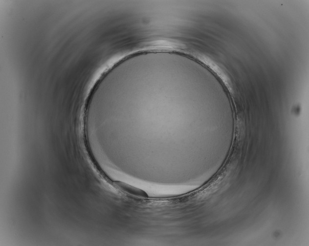 X0000099421477200805301357