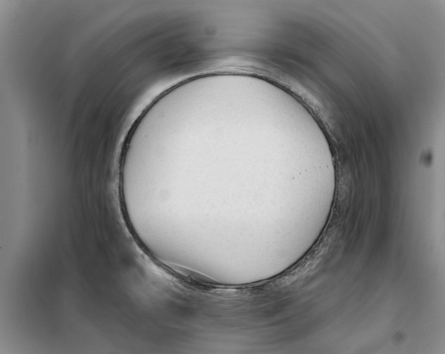X0000099421478200805301357